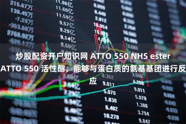 炒股配资开户知识网 ATTO 550 NHS ester，ATTO 550 活性酯，能够与蛋白质的氨基基团进行反应