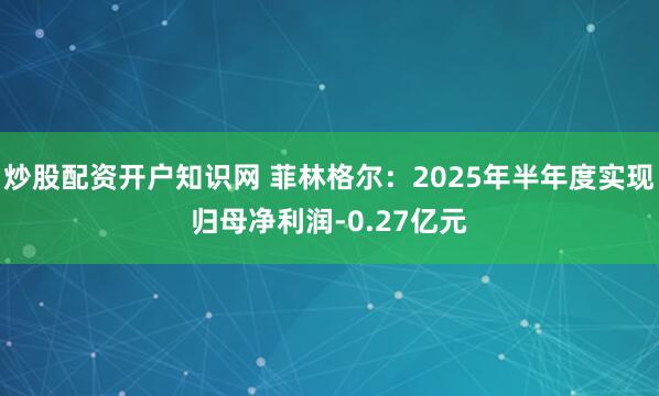 炒股配资开户知识网 菲林格尔：2025年半年度实现归母净利润-0.27亿元