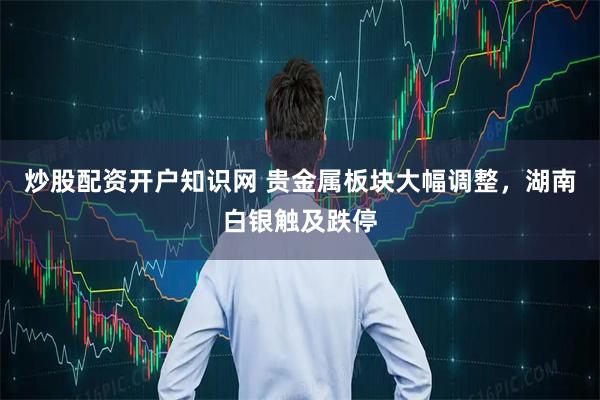 炒股配资开户知识网 贵金属板块大幅调整，湖南白银触及跌停