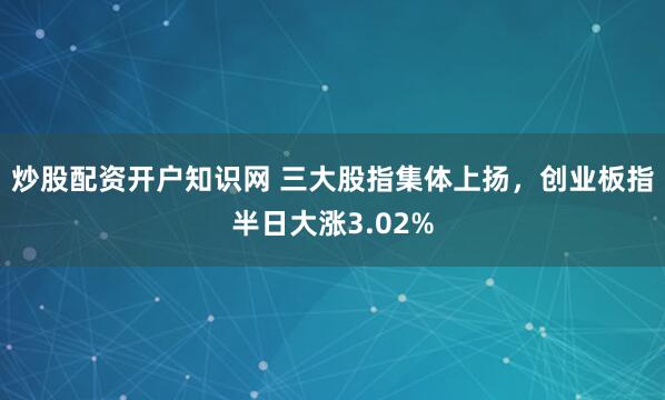 炒股配资开户知识网 三大股指集体上扬，创业板指半日大涨3.02%
